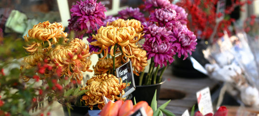 Malu's 2023 Mother's Day Gift Guide