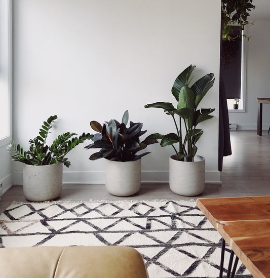 A few of our favorite things: February edition